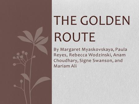 By Margaret Myaskovskaya, Paula Reyes, Rebecca Wodzinski, Anam Choudhary, Signe Swanson, and Mariam Ali THE GOLDEN ROUTE.