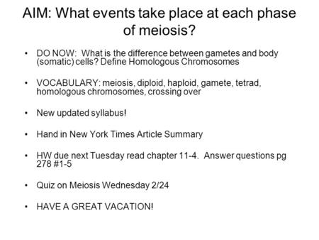 AIM: What events take place at each phase of meiosis?