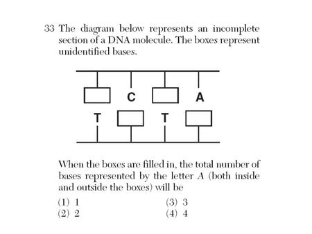 Aim: Why did Gregor Mendel’s experiments with pea plants lead to the science of genetics? Text Ch 11 Introduction to Genetics Read pages 262 – 269 HW.