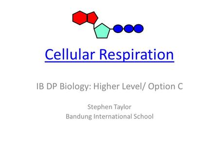 Cellular Respiration IB DP Biology: Higher Level/ Option C