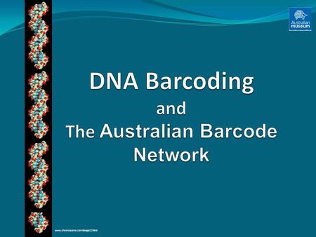 Www.chromosome.com/dnapic2.html. ALPHA TAXONOMY Barcoding provides a rapid assessment without the need for detailed morphological expertise in the first.