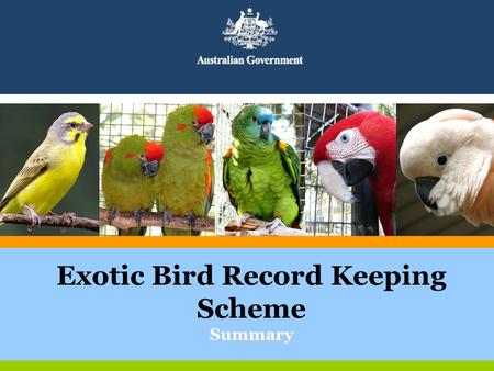 Mmary Exotic Bird Record Keeping Scheme Summary. In the beginning….. Illegal trade increased since the closure of NEBRS? Promoting confidence in the legal.