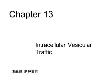 Chapter 13 Intracellular Vesicular Traffic 張學偉 助理教授.