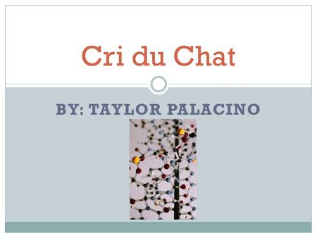 Cri du Chat By: Taylor Palacino.