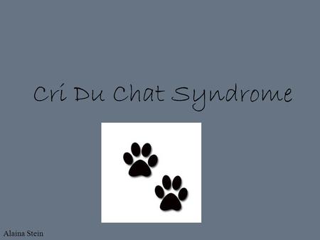 Cri Du Chat Syndrome Alaina Stein.