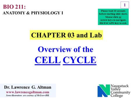 CELL CYCLE Overview of the CHAPTER 03 and Lab BIO 211: