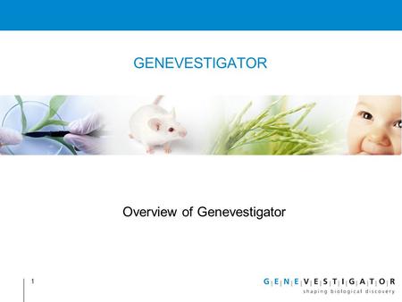Overview of Genevestigator