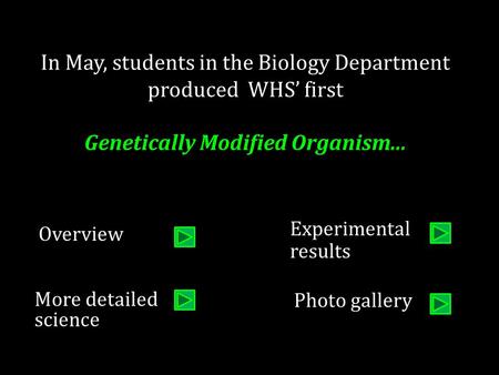 In May, students in the Biology Department produced WHS’ first Genetically Modified Organism... More detailed science Experimental results Overview Photo.