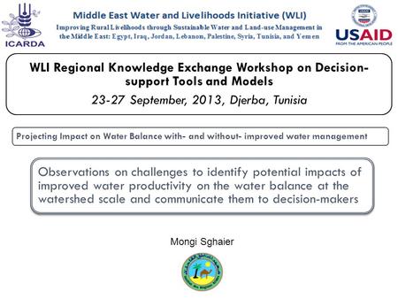 WLI Regional Knowledge Exchange Workshop on Decision- support Tools and Models 23-27 September, 2013, Djerba, Tunisia Projecting Impact on Water Balance.