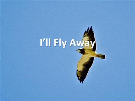 I’ll Fly Away. Some glad morning When this life is o’er, I’ll (Fly Away) Fly Away (Fly Away).