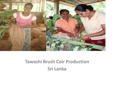 Tawashi Br Tawashi Brush Coir Production Sri Lanka.