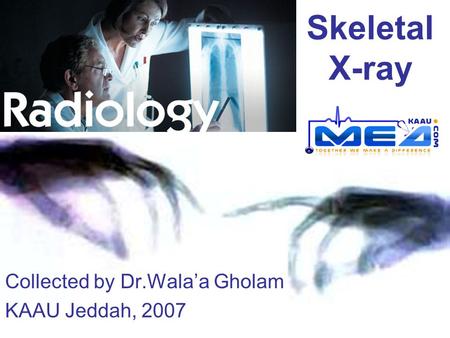 Collected by Dr.Wala’a Gholam KAAU Jeddah, 2007