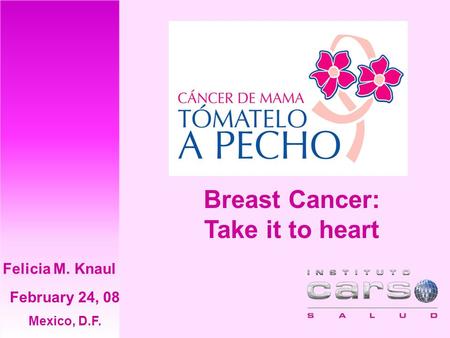 Breast Cancer: Take it to heart February 24, 08 Mexico, D.F. Felicia M. Knaul.