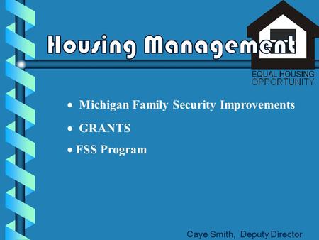  Michigan Family Security Improvements  GRANTS Caye Smith, Deputy Director  FSS Program.