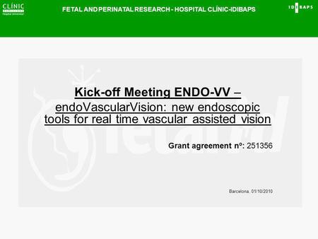 FETAL AND PERINATAL RESEARCH - HOSPITAL CLÍNIC-IDIBAPS Kick-off Meeting ENDO-VV – endoVascularVision: new endoscopic tools for real time vascular assisted.