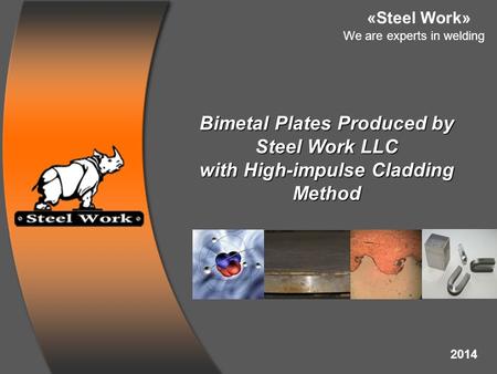 Bimetal Plates Produced by with High-impulse Cladding Method