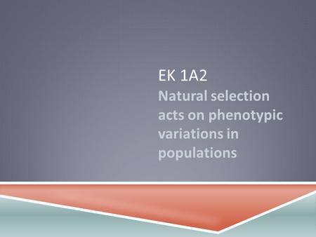 EK 1A2 Natural selection acts on phenotypic variations in populations.