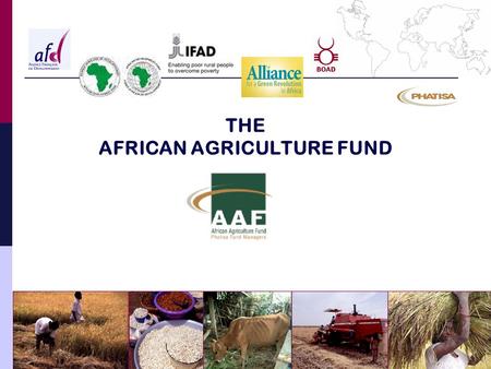 THE AFRICAN AGRICULTURE FUND. AFRICAN AGRICULTURE FUND The opportunity of an investment fund Investment strategy and targets Fund governance Fund structure.