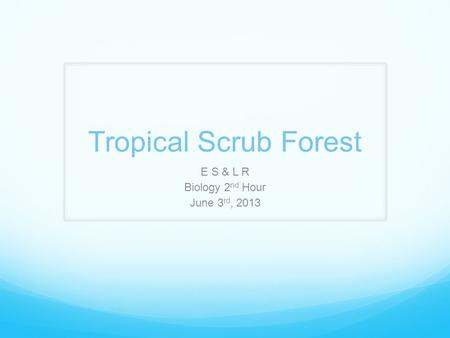 Tropical Scrub Forest E S & L R Biology 2 nd Hour June 3 rd, 2013.