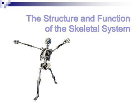 The Structure and Function of the Skeletal System
