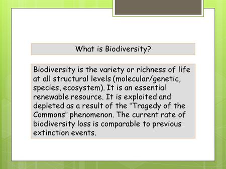 What is Biodiversity? Biodiversity is the variety or richness of life at all structural levels (molecular/genetic, species, ecosystem). It is an essential.