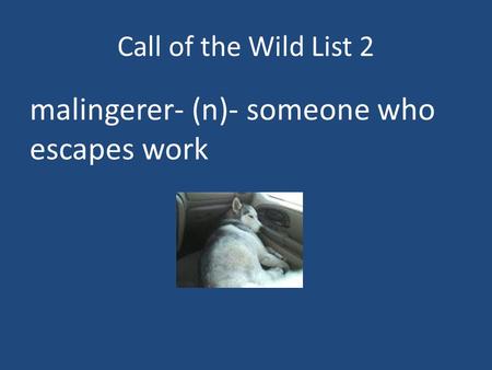 Call of the Wild List 2 malingerer- (n)- someone who escapes work.