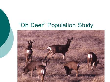 “Oh Deer” Population Study