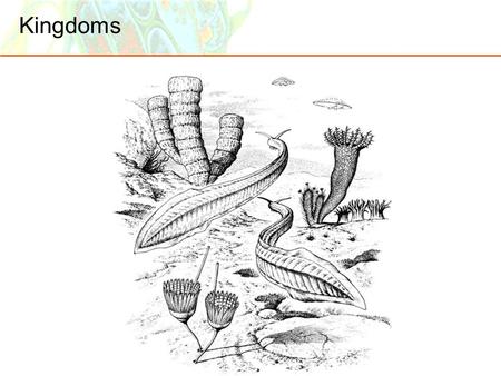 Kingdoms. Basic Branches of Life  More than 200 years ago, Linnaeus began with only the Plant and Animal Kingdoms.  Later Kingdoms Protista, Fungi,
