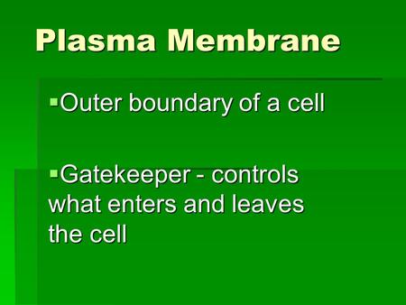 Plasma Membrane  Outer boundary of a cell  Gatekeeper - controls what enters and leaves the cell.