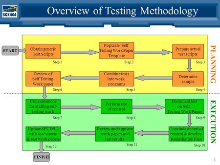 1 Overview of Testing Methodology Obtain generic Test Scripts Populate Self Testing Work Paper Template Prepare actual test scripts Determine sample Combine.