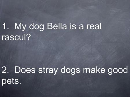 1. My dog Bella is a real rascul? 2. Does stray dogs make good pets.