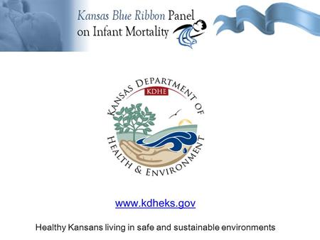 Www.kdheks.gov Healthy Kansans living in safe and sustainable environments.