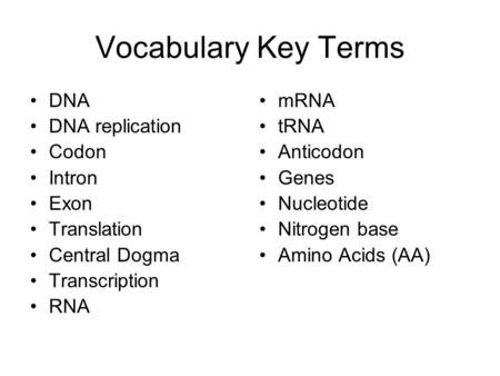 Vocabulary Key Terms DNA DNA replication Codon Intron Exon Translation