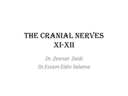 The Cranial Nerves XI-XII