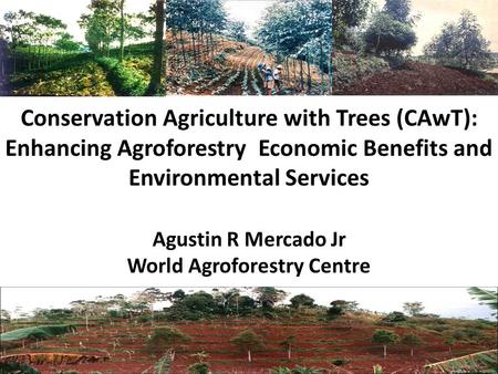 Conservation Agriculture with Trees (CAwT): Enhancing Agroforestry Economic Benefits and Environmental Services Agustin R Mercado Jr World Agroforestry.