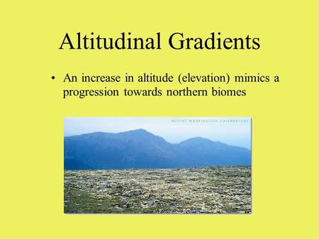 Altitudinal Gradients An increase in altitude (elevation) mimics a progression towards northern biomes.