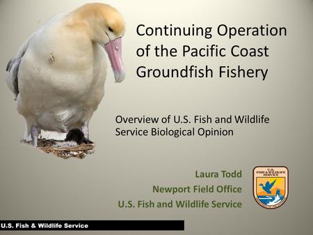Continuing Operation of the Pacific Coast Groundfish Fishery Overview of U.S. Fish and Wildlife Service Biological Opinion Laura Todd Newport Field Office.