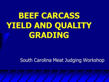 BEEF CARCASS YIELD AND QUALITY GRADING