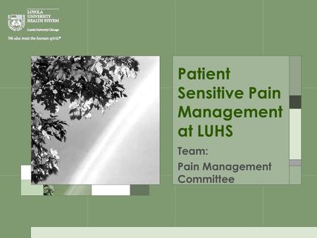 Patient Sensitive Pain Management at LUHS