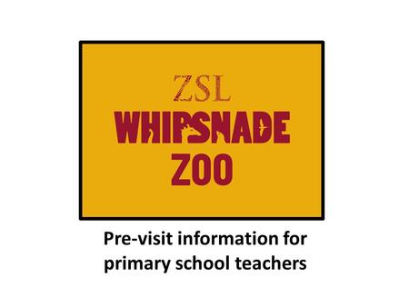 Pre-visit information for primary school teachers.