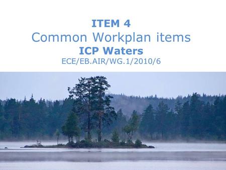 WGE 29th session, September 2010 1Brit Lisa Skjelkvåle ITEM 4 Common Workplan items ICP Waters ECE/EB.AIR/WG.1/2010/6.