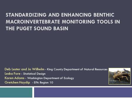 STANDARDIZING AND ENHANCING BENTHIC MACROINVERTEBRATE MONITORING TOOLS IN THE PUGET SOUND BASIN Deb Lester and Jo Wilhelm - King County Department of Natural.