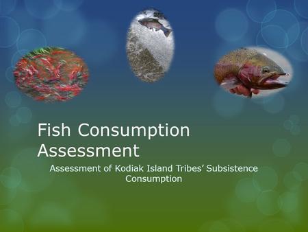 Fish Consumption Assessment Assessment of Kodiak Island Tribes’ Subsistence Consumption.