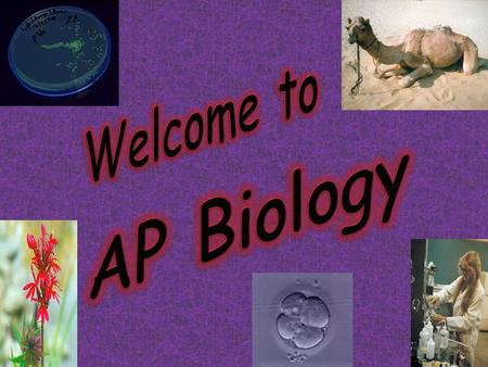 Welcome to AP Biology We will meet every B Day – 6 th hour  Good way to contact me – by.