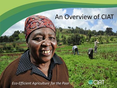 Eco-Efficient Agriculture for the Poor An Overview of CIAT.