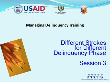 Managing Delinquency Training Different Strokes for Different Delinquency Phase Session 3.