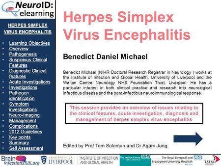 herpes simplex virus encephalitis