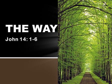 John 14: 1-6 THE WAY. Jesus informs disciples of his betrayal by Judas …of Peter’s betrayal …of His imminent death The world as the disciples understood.