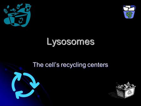 Lysosomes The cell’s recycling centers. Lysosome Structure Membrane-bound Membrane-bound Contains powerful digestive enzymes Contains powerful digestive.