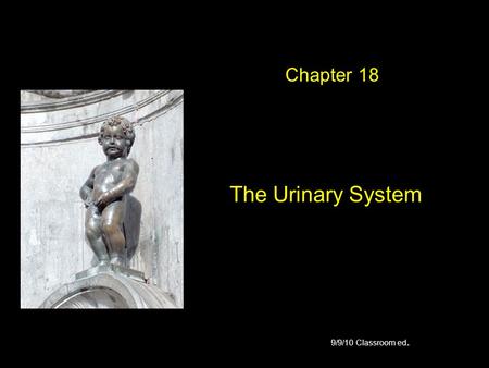 Chapter 18 The Urinary System 9/9/10 Classroom ed.